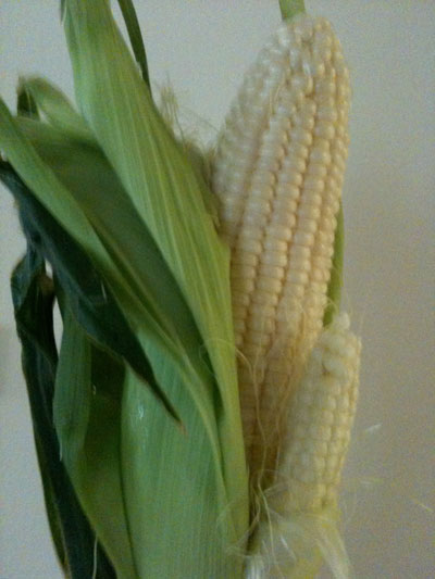 mutant-corn mutant-corn